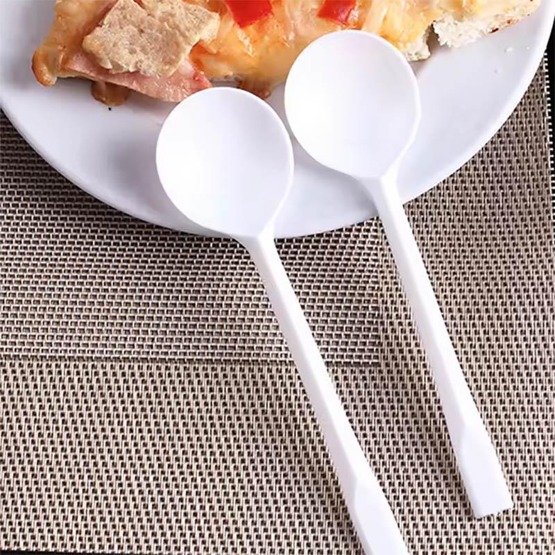 #disposable fruit dessert spoon